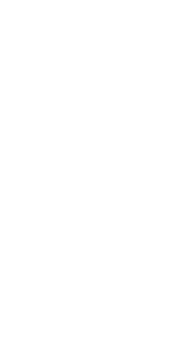 Insect Jokes — Superior Services blog