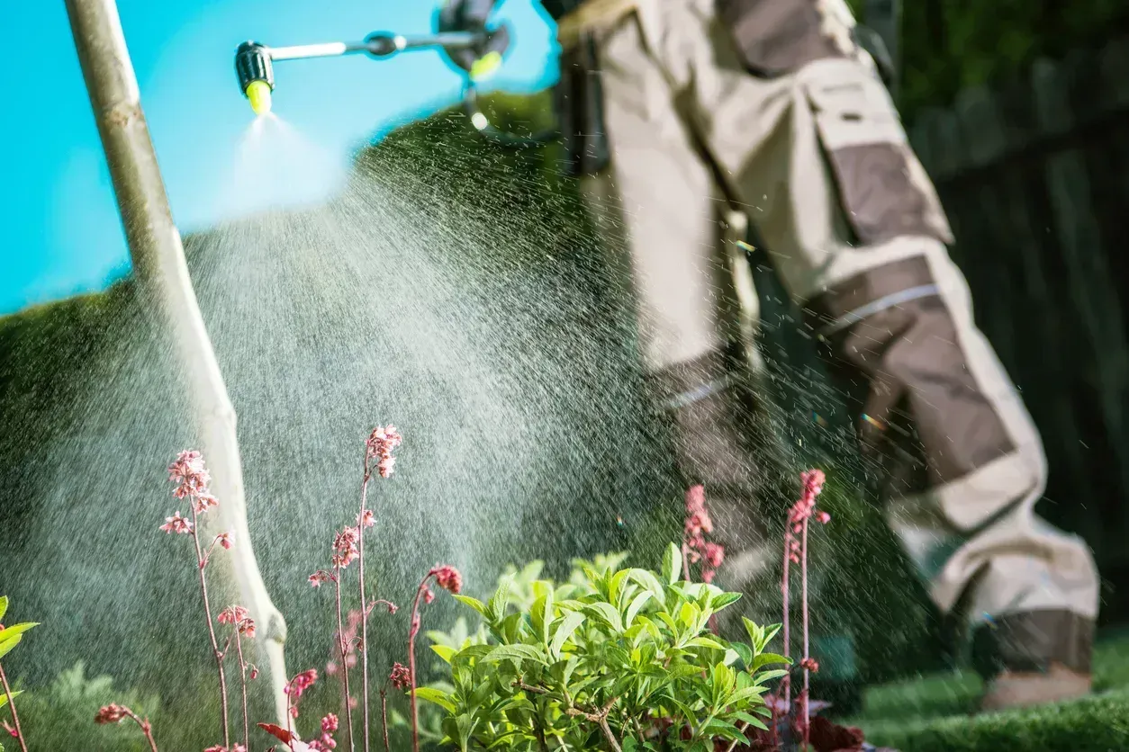 Monthly lawn care service in Central Florida