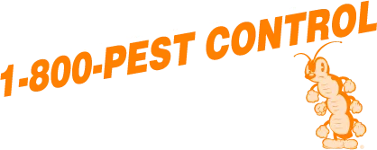 Superior Services of Central Florida logo
